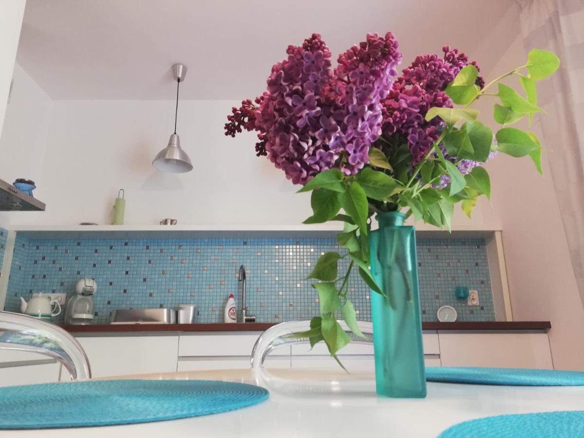 Apartament Przy Parku Kornik公寓 外观 照片