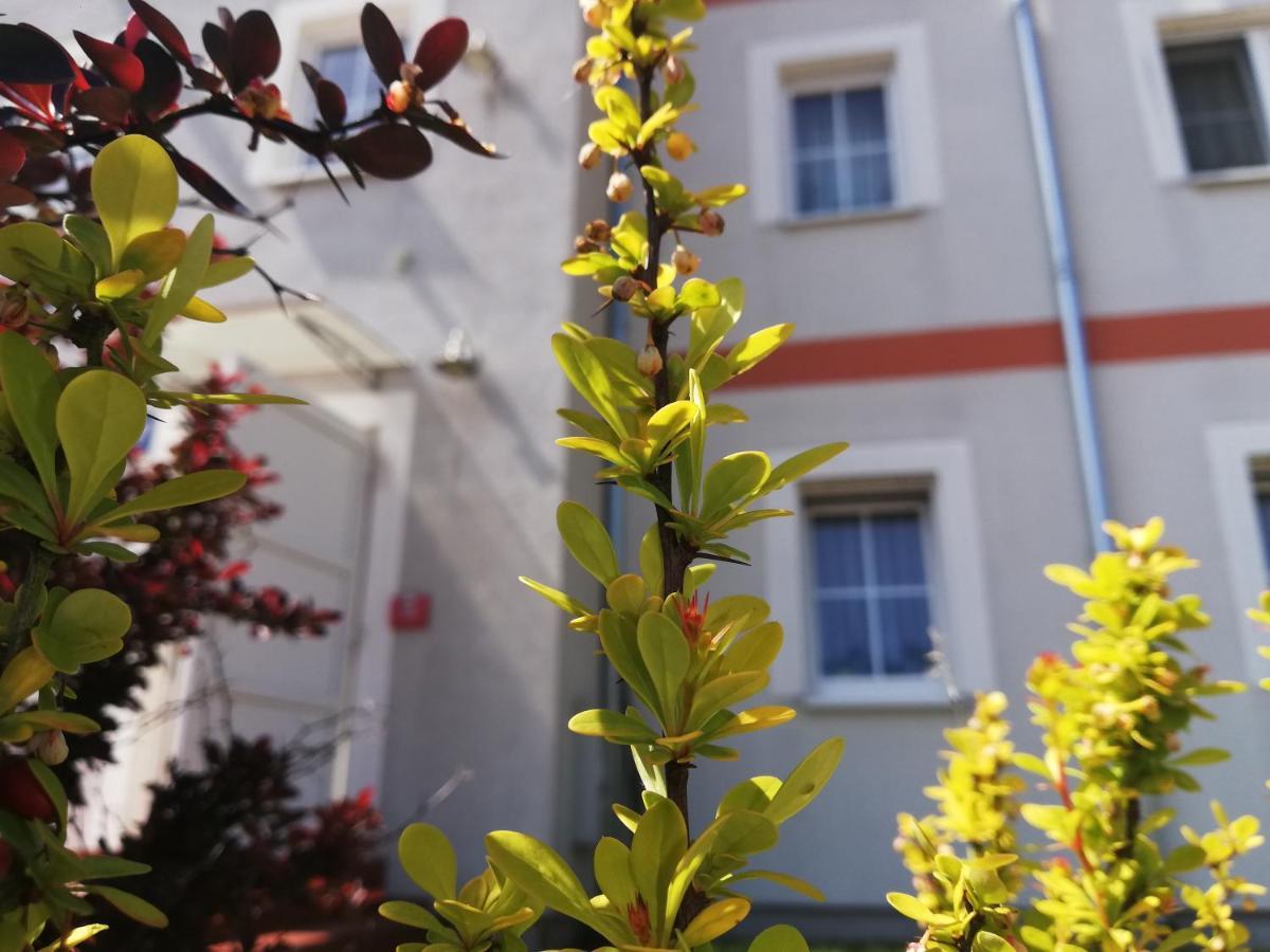 Apartament Przy Parku Kornik公寓 外观 照片